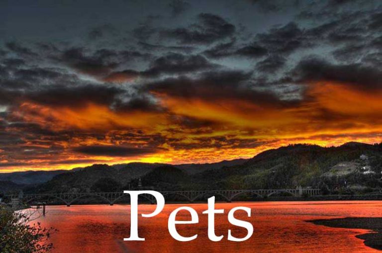 Gold Beach Vacation Rental Homes Gold Beach Vacation Rentals